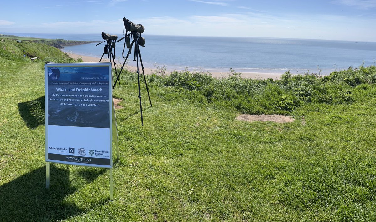 Currently doing a whale and dolphin watch at St Cyrus. Stunning day, if you decide to join me bring a hat, I with I did!!!