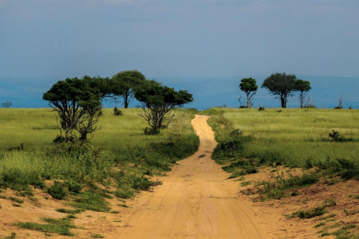 Good things come in threes, and we have three amazing opportunities at the CECG! 🌎 We're looking for an Operations Director, Administrative Assistance and a Grants Manager. To find out more visit: globalcharityjobs.com
#fundraisingjob #hiring #nonprofitjob