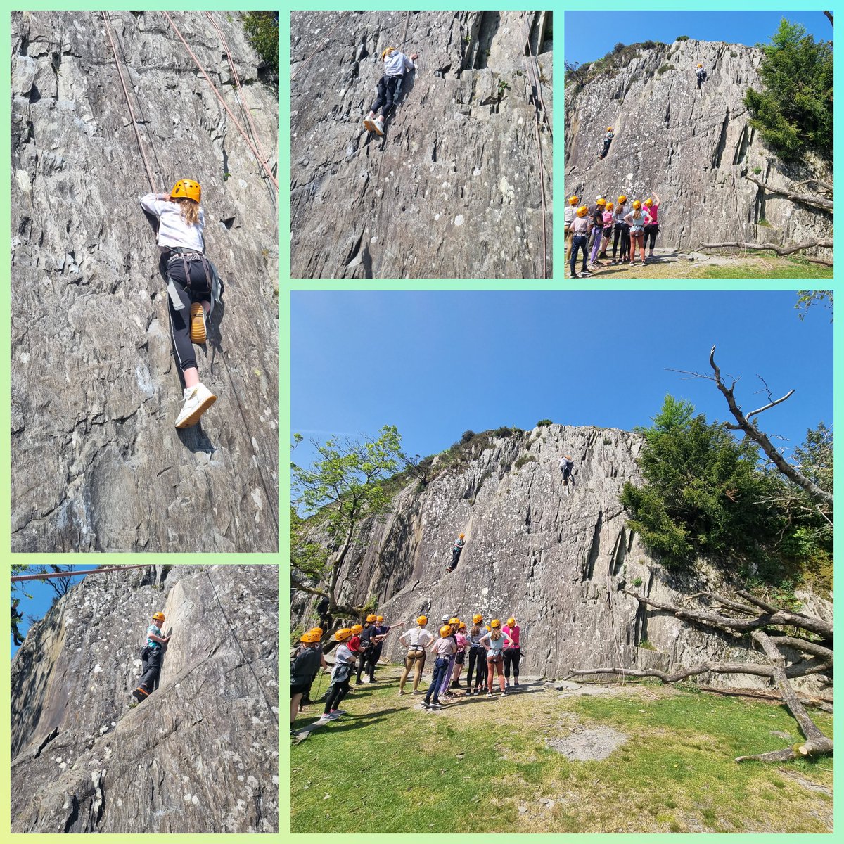 St Saviour's Primary tweet media