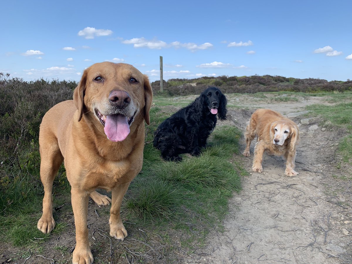 SmallshawCottagesSpa tweet media