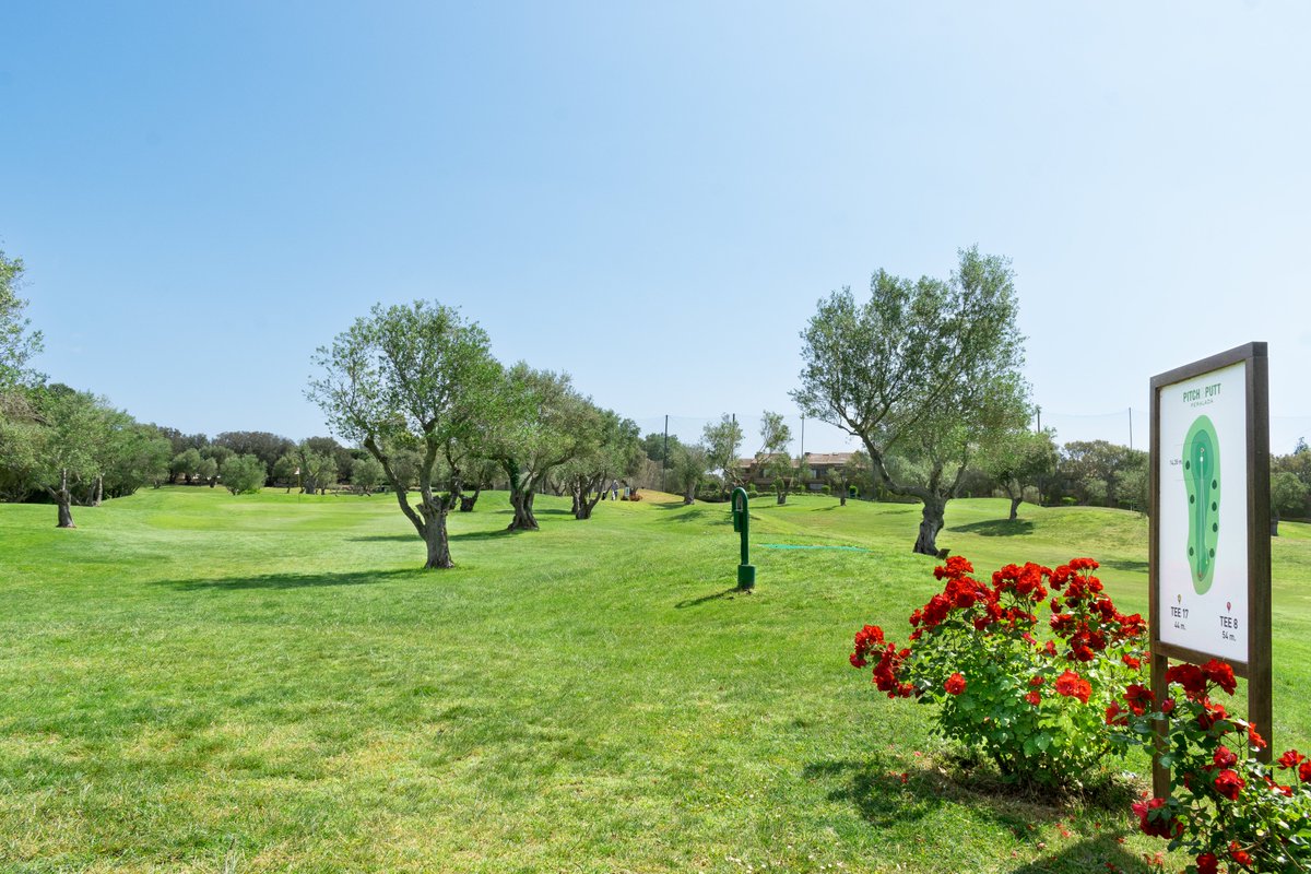 ¡Nuestro campo de P&P luce precioso con la primavera! 

¡Ven a disfrutar de una jornada y compruébalo tu mismo! #pitchandputt