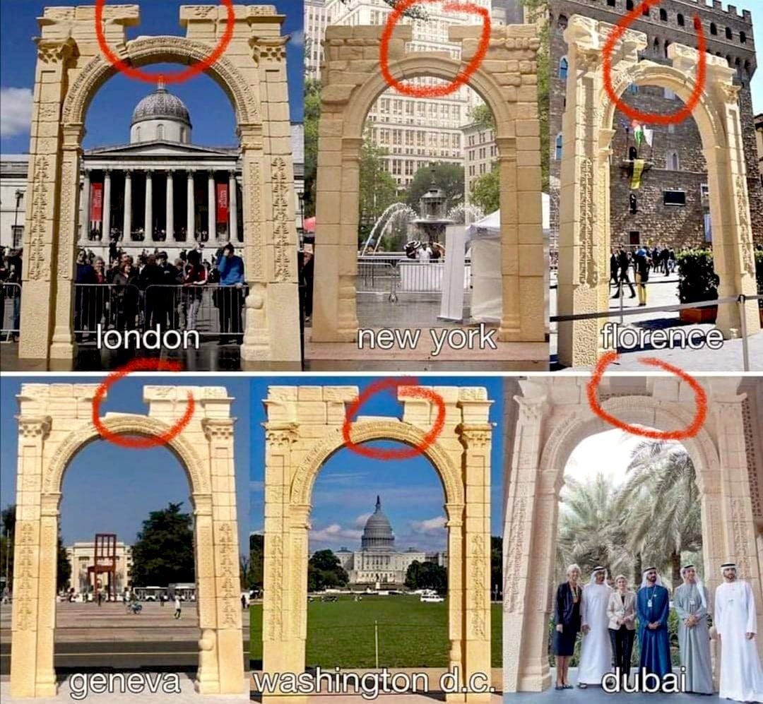 الإعرابي نينو فِتش tweet media