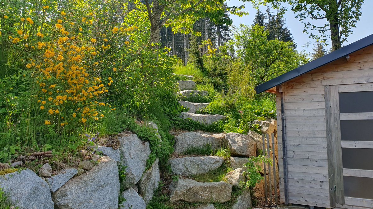 Albsteighost's tweet photo. Vom #Chalet aus geht diese Naturtreppe hoch in den Wald.
#Auszeit #Südschwarzwald #Ferienhaus. https://t.co/c8cJDVmu3z
