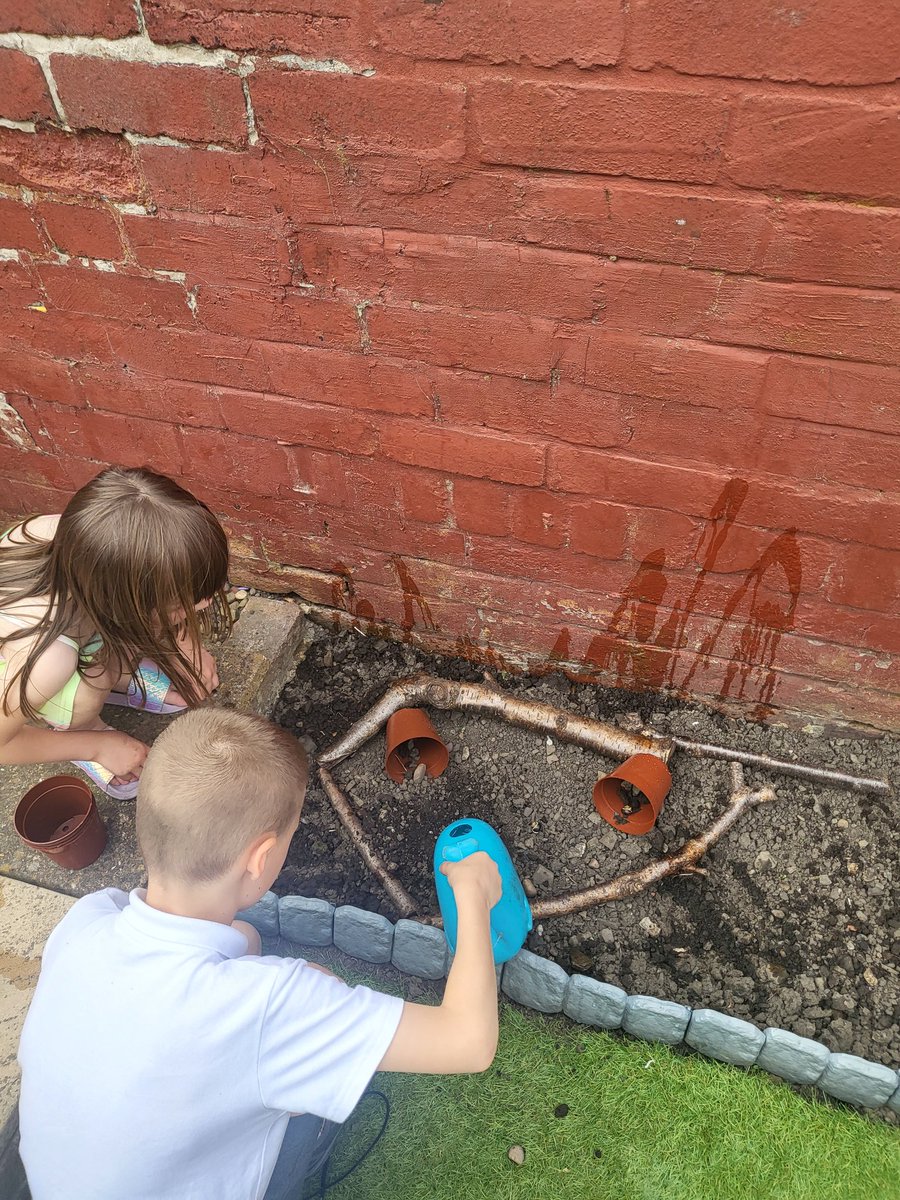 natalief1986's tweet photo. Lewis helped his sister do a mini beast habitat. I know it's not a shoe box habitat but they both loved making this habitat. @Year2Planets https://t.co/6aUPedfcXS