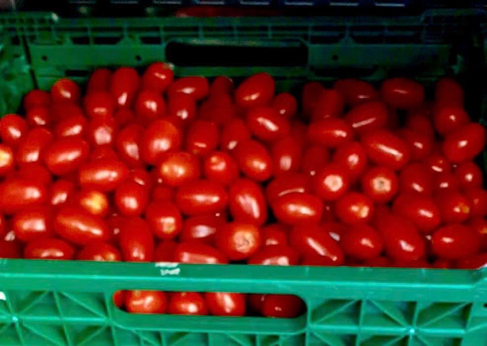 Some of the items in the pantry this week! 
The Craigmillar Growers will also be harvesting first thing tomorrow of more of their spring crops 🥬🥬. 
Open Thurs 10-2 and Fri 9:30-12! 
See you tomorrow! 🌼