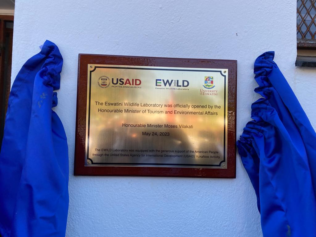 Funding from a <a href="/USAIDAfrica/">USAID in Africa</a> -VukaNow grant, in collaboration with the All Out Africa Foundation, has enabled the establishment of the first national wildlife laboratory in Eswatini at <a href="/eswatiniuni/">University of Eswatini</a> . This high-technology modern laboratory will support efforts to combat wildlife
