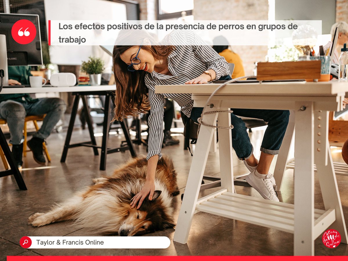 CATanisoci's tweet photo. 🐶✨ ¡La presencia de #perros en grupos de trabajo genera efectos positivos! Estudios muestran mayor cooperación, intimidad y cohesión entre participantes cuando estos #animales se encuentran presentes. https://t.co/xyeM4c6SOq