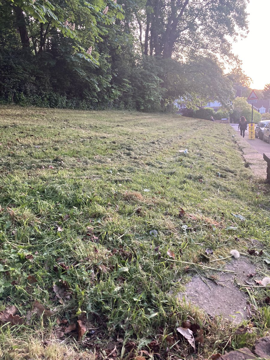 Shame that @yourcroydon @JasonForCroydon still think that destroying beautiful wildflowers and wildlife habitat is ok. Apparently @JasonForCroydon introduced an enhanced grass cutting program to celebrate the #kingscoronation and this must be it