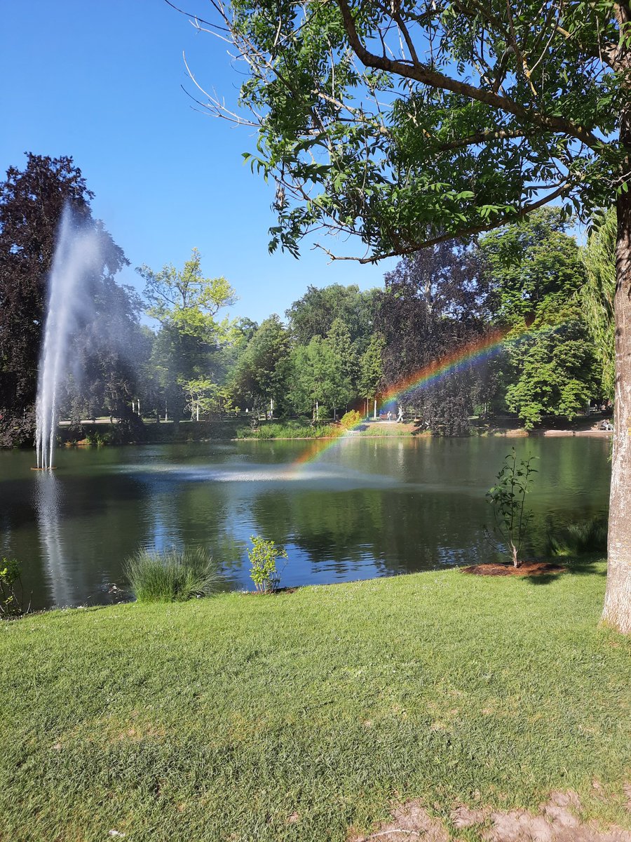 Béa Caldéron (@bea_cal) on Twitter photo 