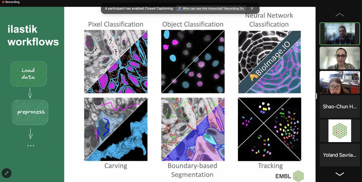 AI4LifeTeam's tweet image. Dominik Kutra from @ilastik_team help trainees with #ImageSegmentation in ilastik, explore and discover the tools in the @bioimageio 🦒 and run the model zoo models in ilastik.