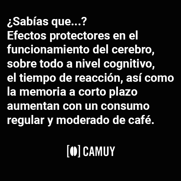 Cafés Camuy (@cafescamuy) on Twitter photo 