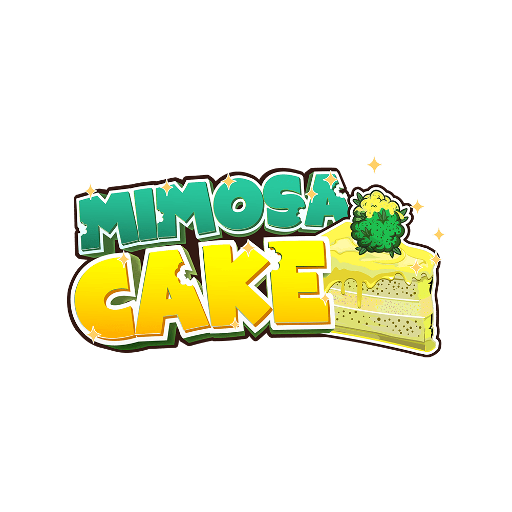 seedsplug's tweet photo. Fast Buds' Mimosa Cake Auto is the citrusy delight your collection needs! Uplifting and potent, it's a taste celebration in every puff. 🍊💥 #FastBuds #MimosaCakeAuto

https://t.co/hd5nHKmGnL https://t.co/3B95t8Inty
