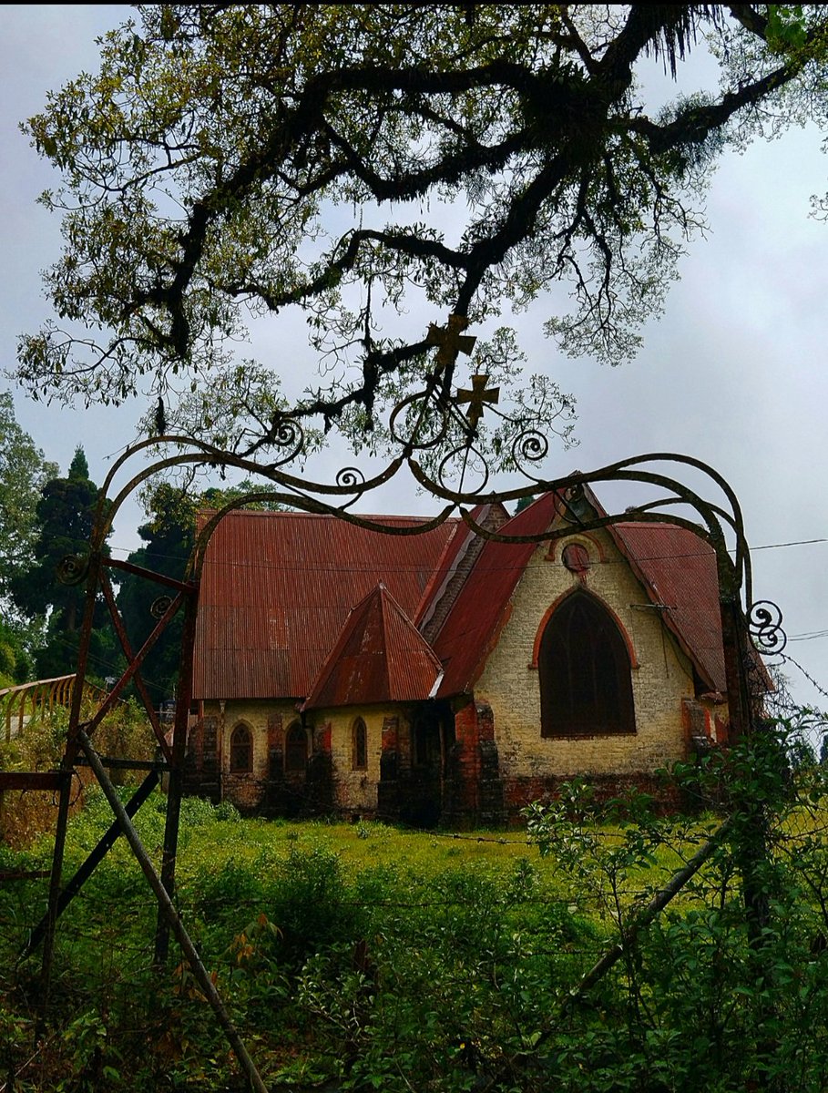 Dowhill, Kurseong (22.3.2023)

The atmosphere around the location gives it the appearance of being haunted; the gloomy, dark hushes add to the spooky aura of the forests. #TRAVEL