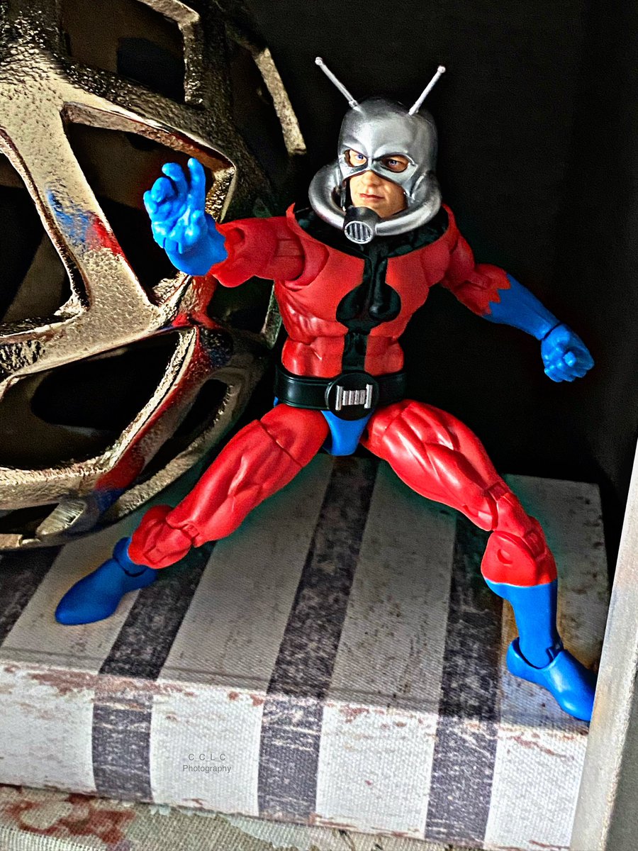 #toyphotography #toypics #antman #hankpym #scottlang #hasbro #marvellegends #colletingactionfigures