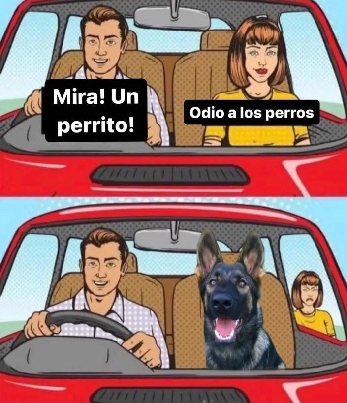 henriqez tweet media