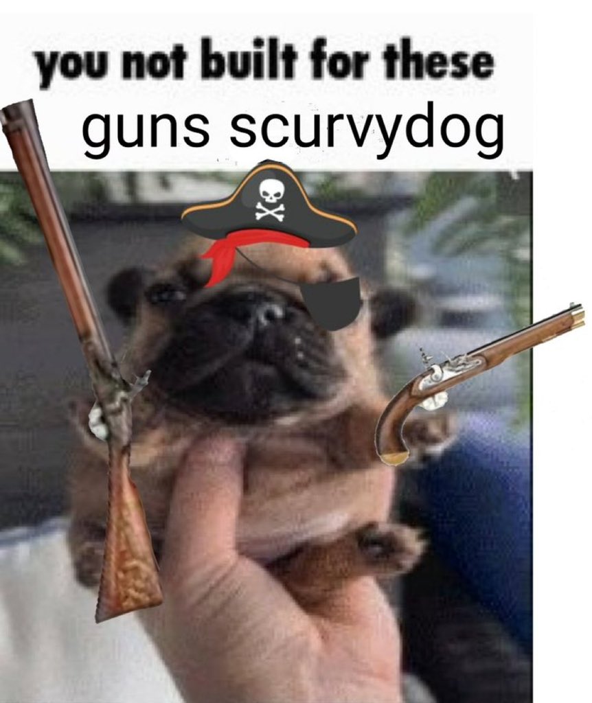 Pirate Posting 🇵🇸 tweet media