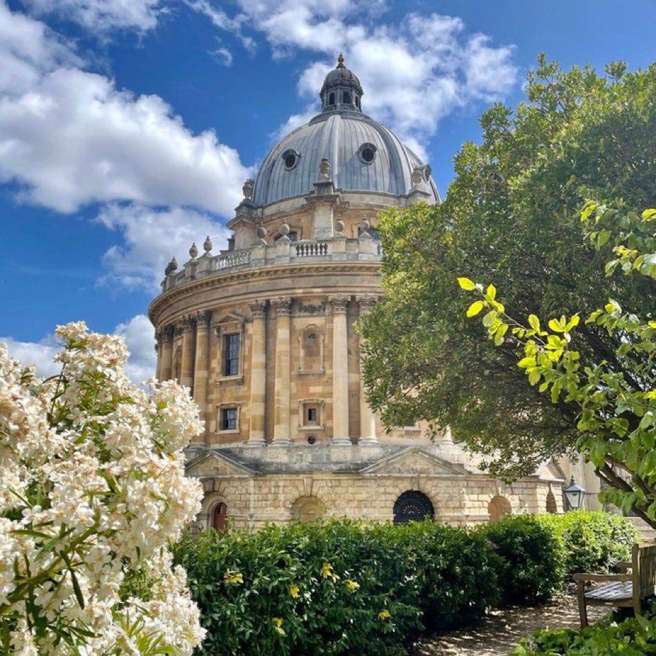 Major update! This summer I am starting my new faculty position at the Saïd Business School, University of Oxford and St Hugh's College, Oxford. Look forward to new opportunities to further learn and grow! @OxfordSBS @StHughsCollege
