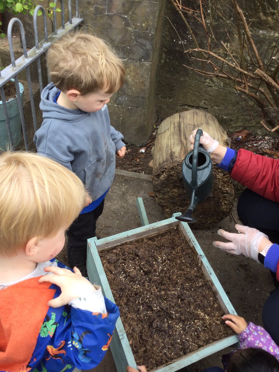 Today in the Rainbow Room we planted some wildflower seeds.  We talked about when these flowers grow they will attract bees and butterflies to our garden.  We planted them in the soil and watered them with some water.  #learningforsustainability