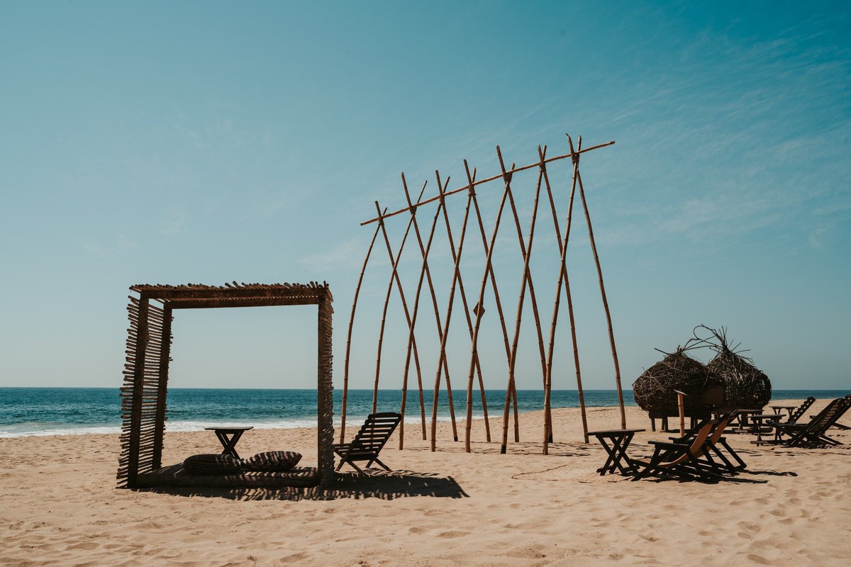 Un tour fotográfico y ecológico es ideal para los amantes de la naturaleza. Ven y recorre la Laguna de Coyuca en Pie de la Cuesta para descubrir más de lo que Acapulco tiene para ofrecer.

#Acapulco #HogarDelSol