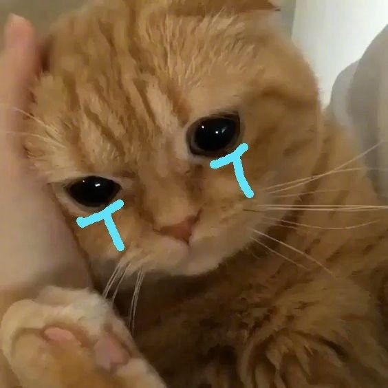 ba't nakapasok kayo??? 😡😡😡😡#JonaxxGYWKab39