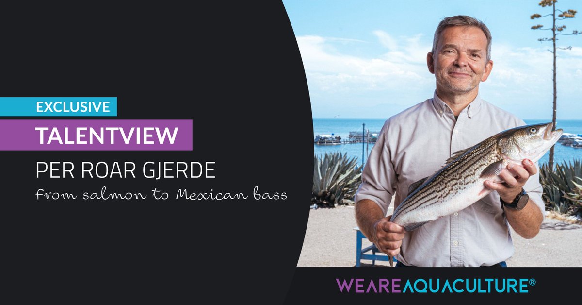 WEAREAQUAC's tweet photo. π¨βπ Today's #TalentView is Per-Roar Gjerde!
This globe-trotting Norwegian is a veteran in the aquaculture industry and the #CEO of @Pacificoaqua_bcd, a young company cultivating striped bass in #Mexico.
π²π½ππ https://t.co/OpEqERpP4S
#interview #exclusive #weareaquaculture https://t.co/hAe94VZazu
