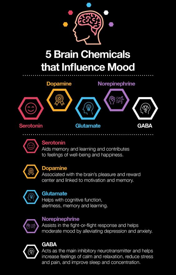 5 Brain Chemicals that Influence Mood