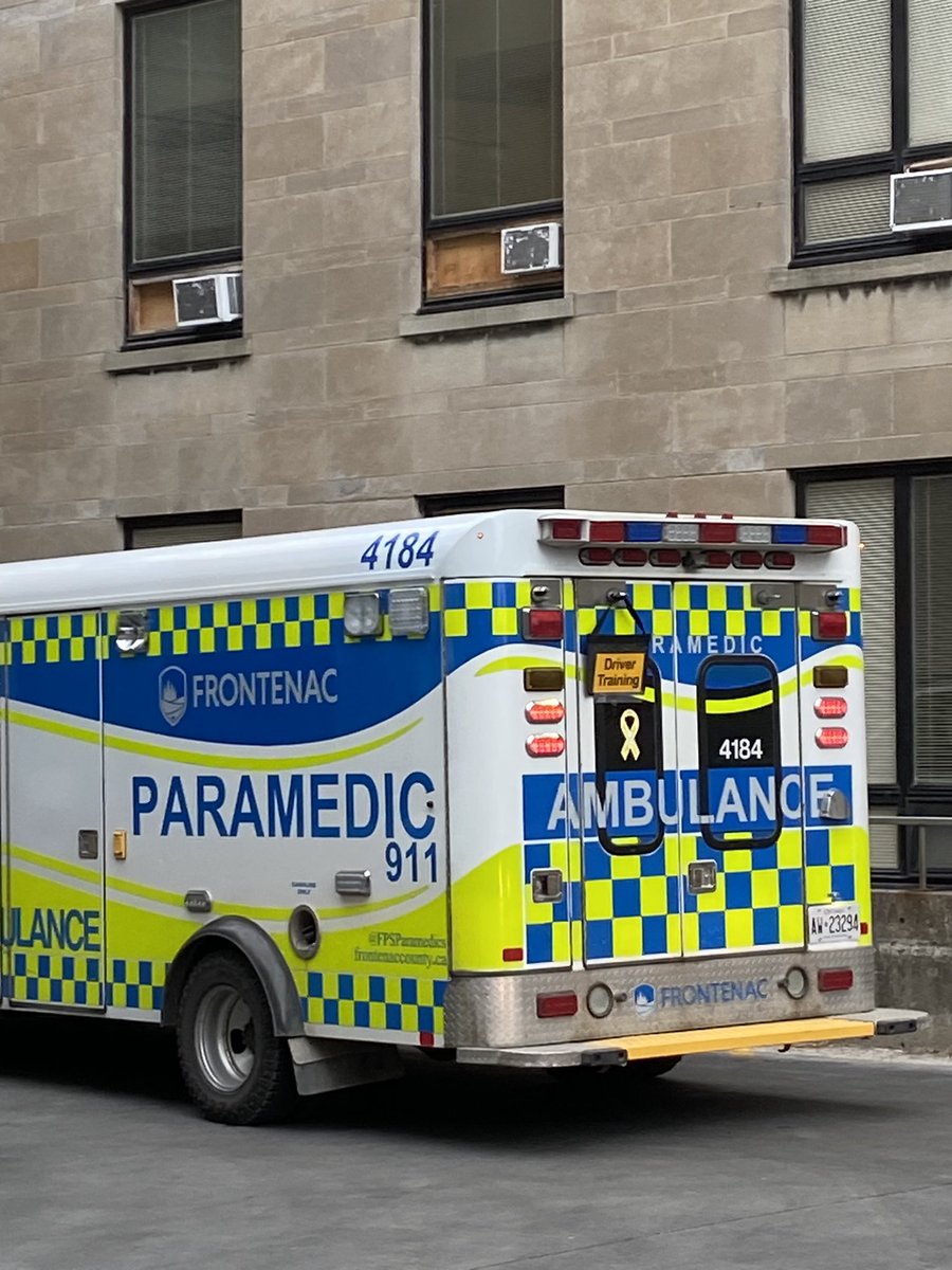 Jane Lewis tweet media