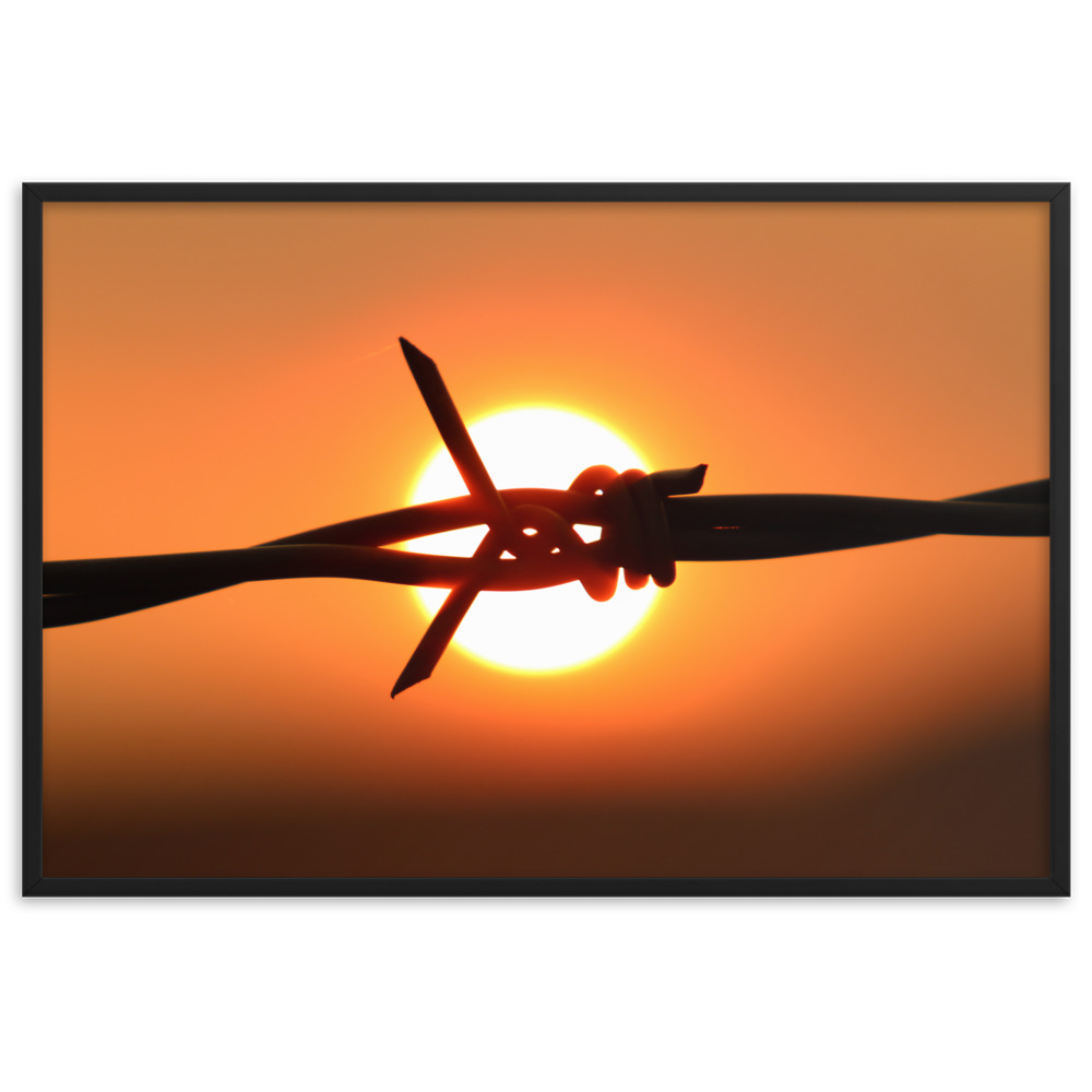 iWillWander's tweet photo. Framed Print Poster - Barbed Wire Sunset
Barbed Wire Sunset - All i Will Wander prints are sold only once. 1 of a kind.
#poster #posterart #print #printart #printphotography #photography #photographyart #kelowna #okanagan https://t.co/57GAiaiRBY