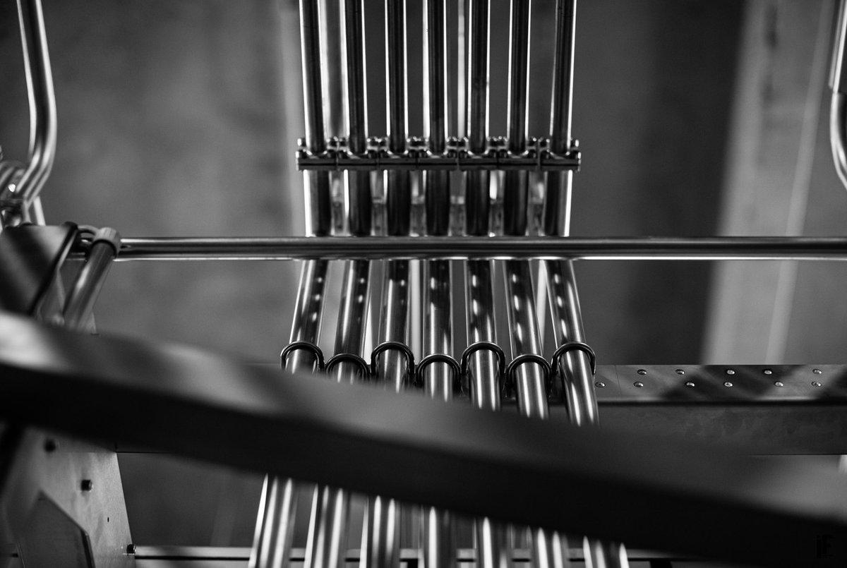 TechnicoFlor tweet media