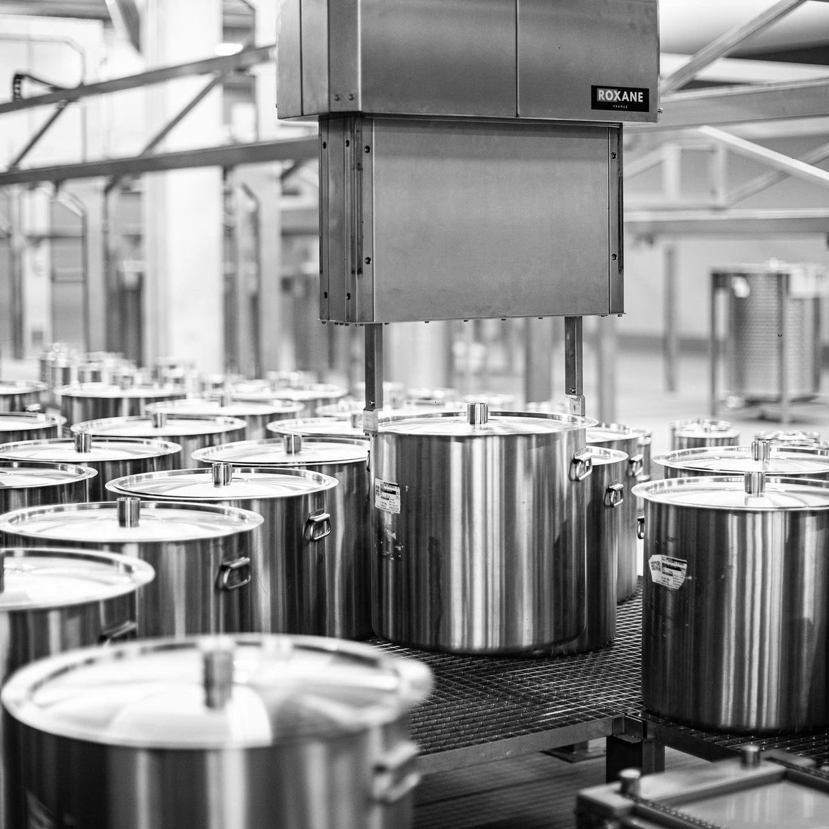 TechnicoFlor tweet media