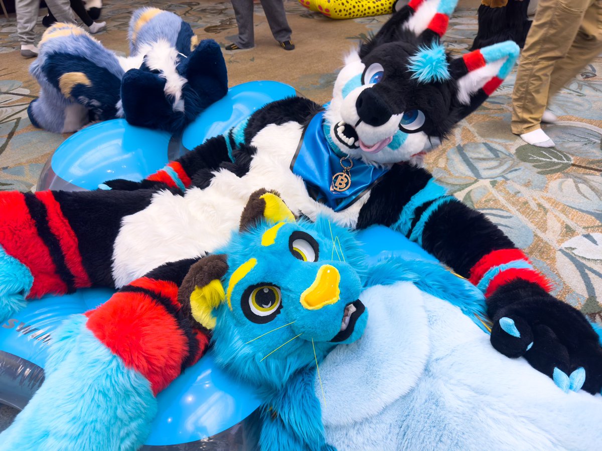 BlizzTheWolf's tweet photo. I think we have room for one more…✨Jumping in? 💙

📸: @AltairKemski https://t.co/8thdeCkAgs