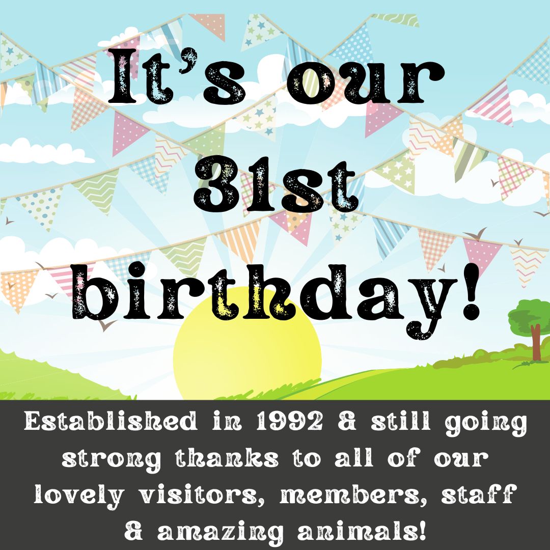 Happy birthday to us! 🥳

#rovesfarm #happybirthday #31yearsold #swindon #wiltshire #southwest #farmpark