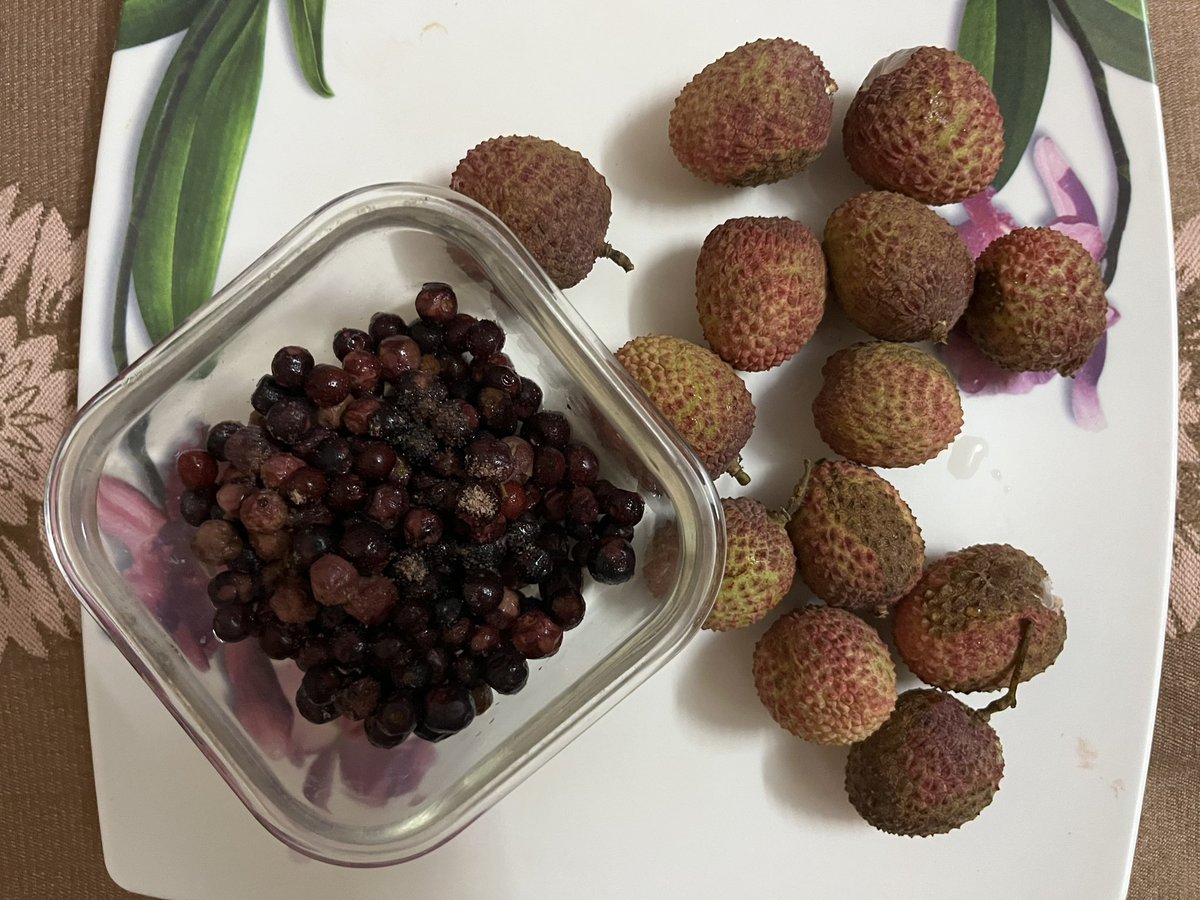 Lychee and falsa from home… make for a good snack… eating falsa after almost 2 decades, maybe more… #lychee #falsa #summerfruit