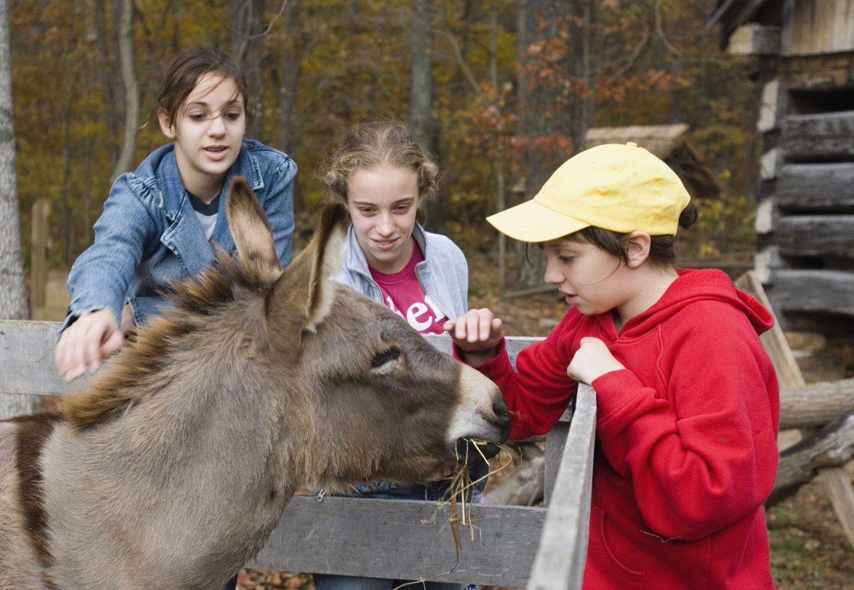 Visit Corydon tweet media