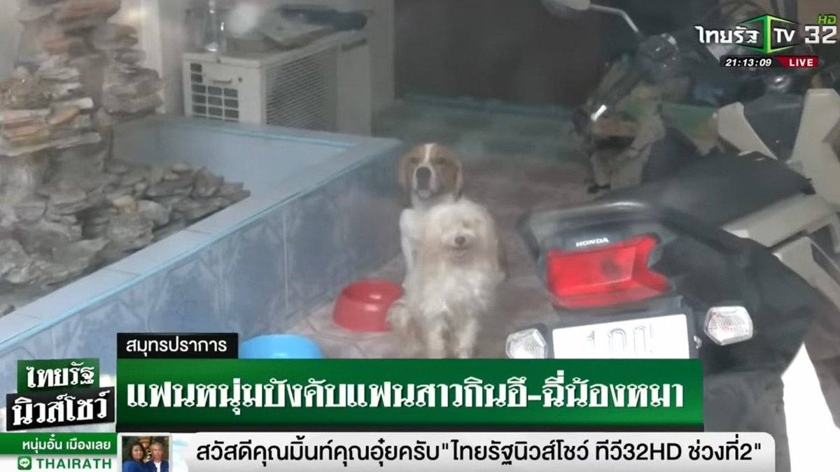 lolitascak3's tweet photo. จนสุดท้ายสบโอกาสหนีออกมาได้ บี้เล่าว่านายฟินยังข่มขู่ว่าจะเอาคลิปส่วนตัวมาแฉ นายฟินอ้างว่าที่ลงมือก็เพราะตัวเองเคยเห็นพ่อตีแม่ อ้างว่าตัวเองขาดความอบอุ่น ติดนิสัยจากพ่อ นายฟินยังเคยทำร้ายพี่น้องตัวเองจนทุกคนย้ายออกจากบ้าน และเริ่มสูบกัญชามาตั้งแต่อายุ 14 ปีจนถึงตอนนี้ https://t.co/Ea54mJE1m8