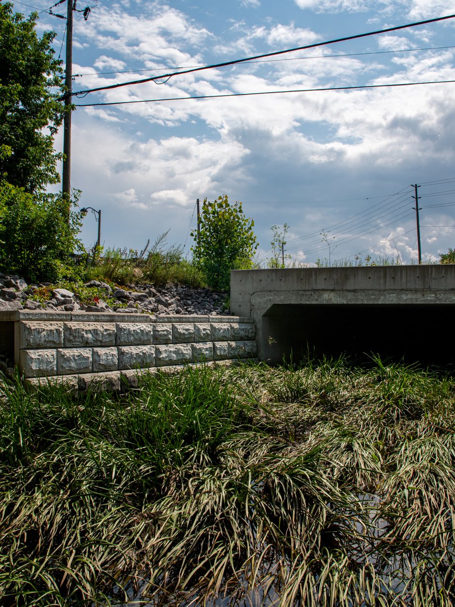 mconproducts's tweet photo. The stunning beauty of our #engineering marvels our #precast box culverts! They're big, and they're bold.
#BoxCulvert #EngineeringExcellence #PrecastConcrete #ConcreteConstruction https://t.co/tatc1XQDly