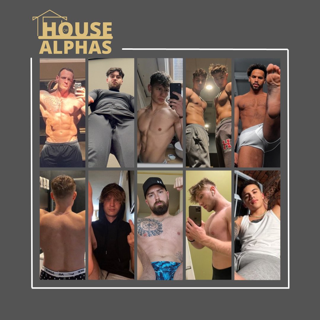 House Of Alphas on Twitter: 