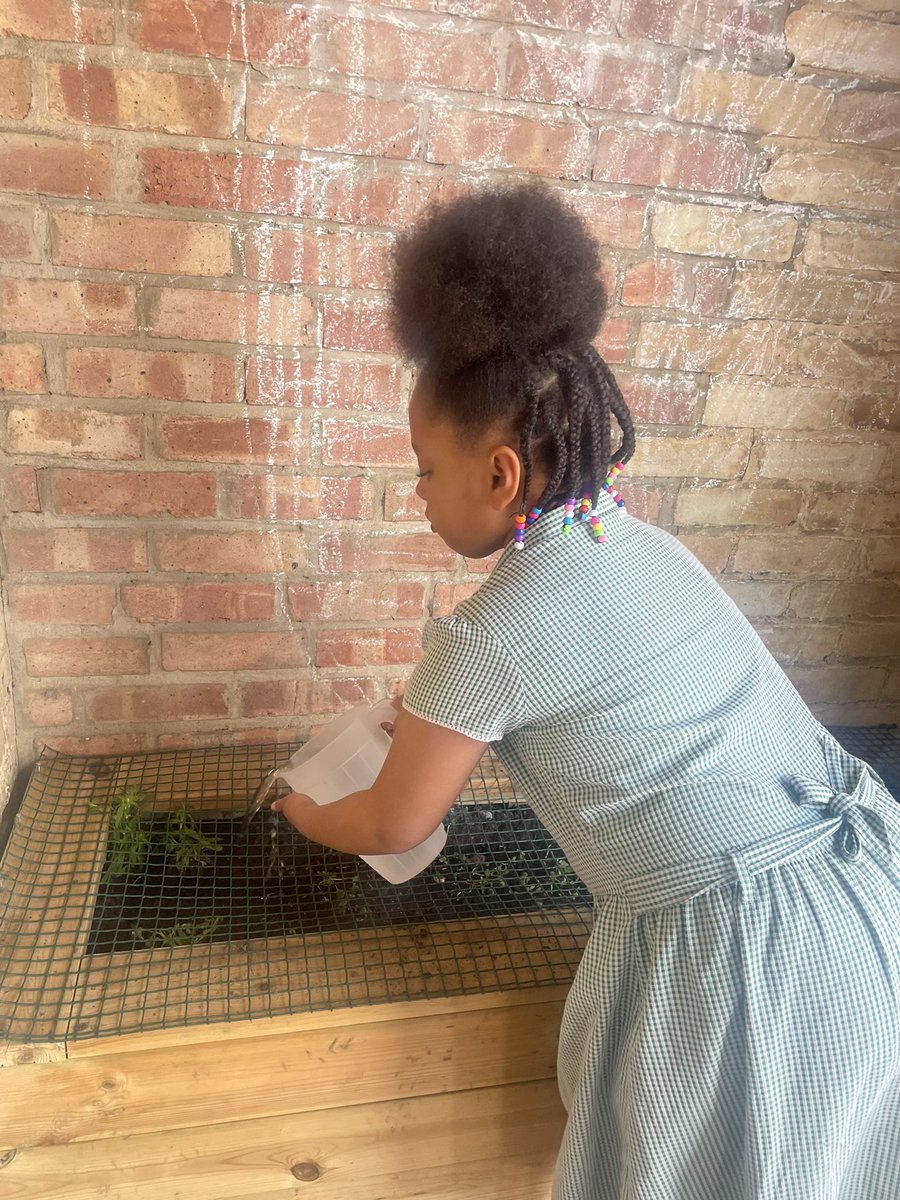 WHYCNunhead's tweet photo. #MaryMaryQuiteContrary! Still loving our little #UrbanGarden #youthwork #Nunhead https://t.co/vVlOmRKWF1