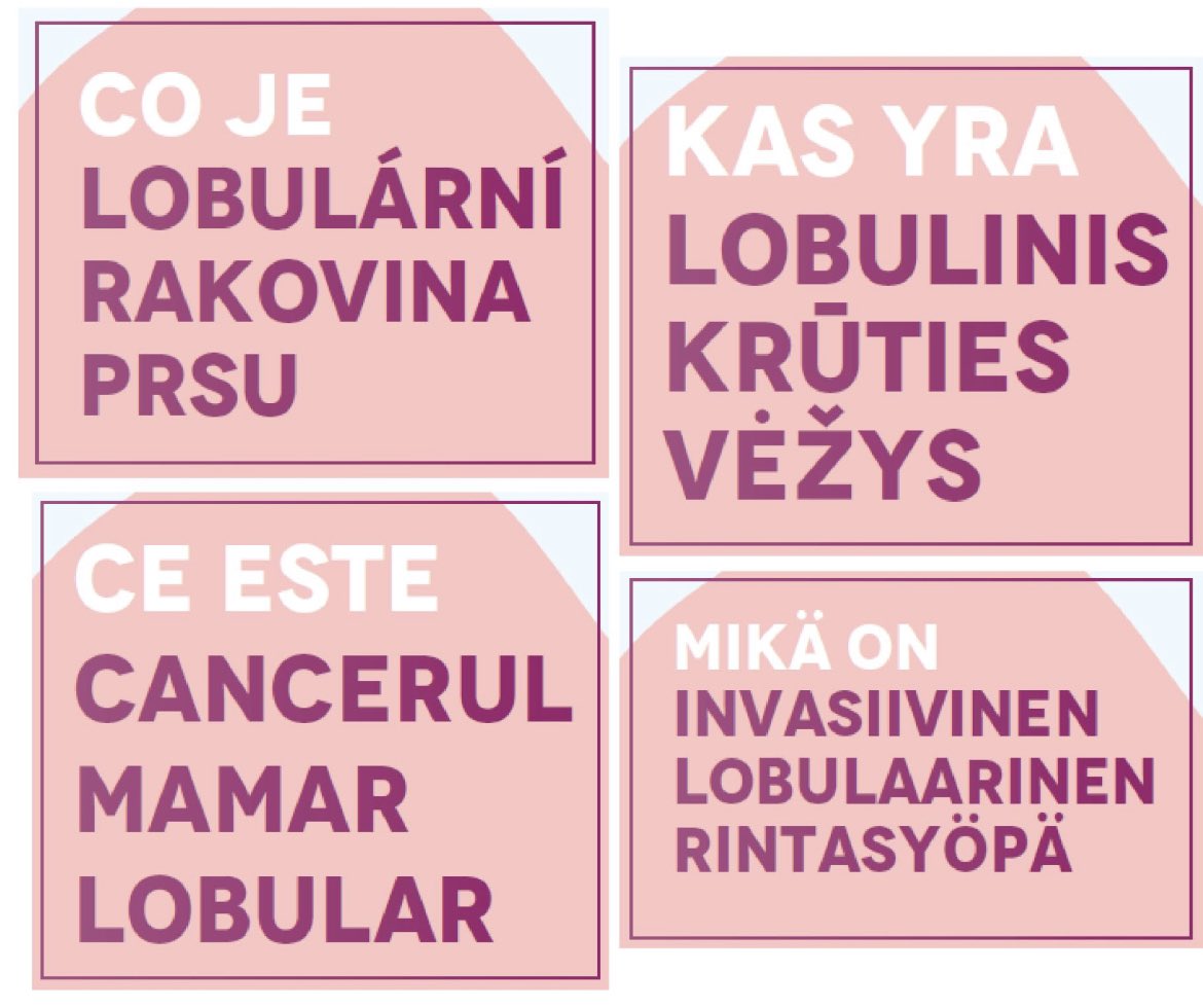 4 new languages of our leaflet!! Czech, Romanian, Lithuanian and Finnish are available now elbcc.org/leaflet
Many thanks to all the translators involved, our advocates for streamlining, and Muntz for design and editing.