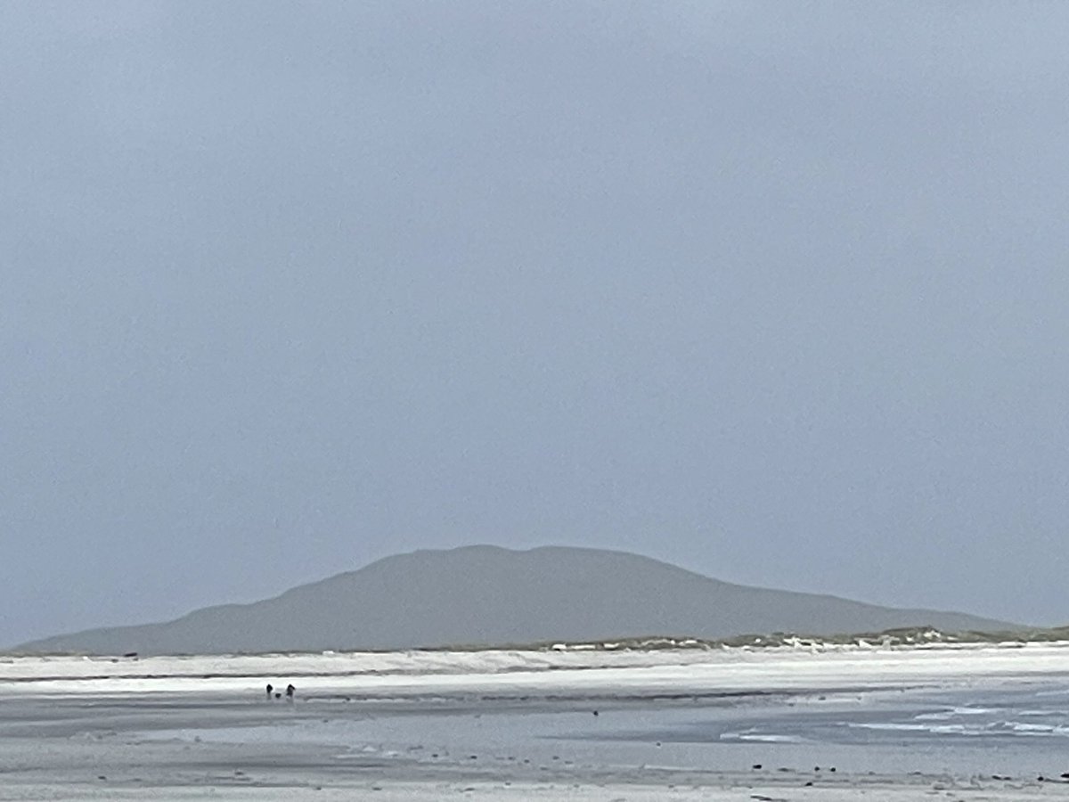 MadMike123's tweet photo. The beach was almost crowded 😊 #Baleshare #Atthebeach https://t.co/bTqmLJ1IQw