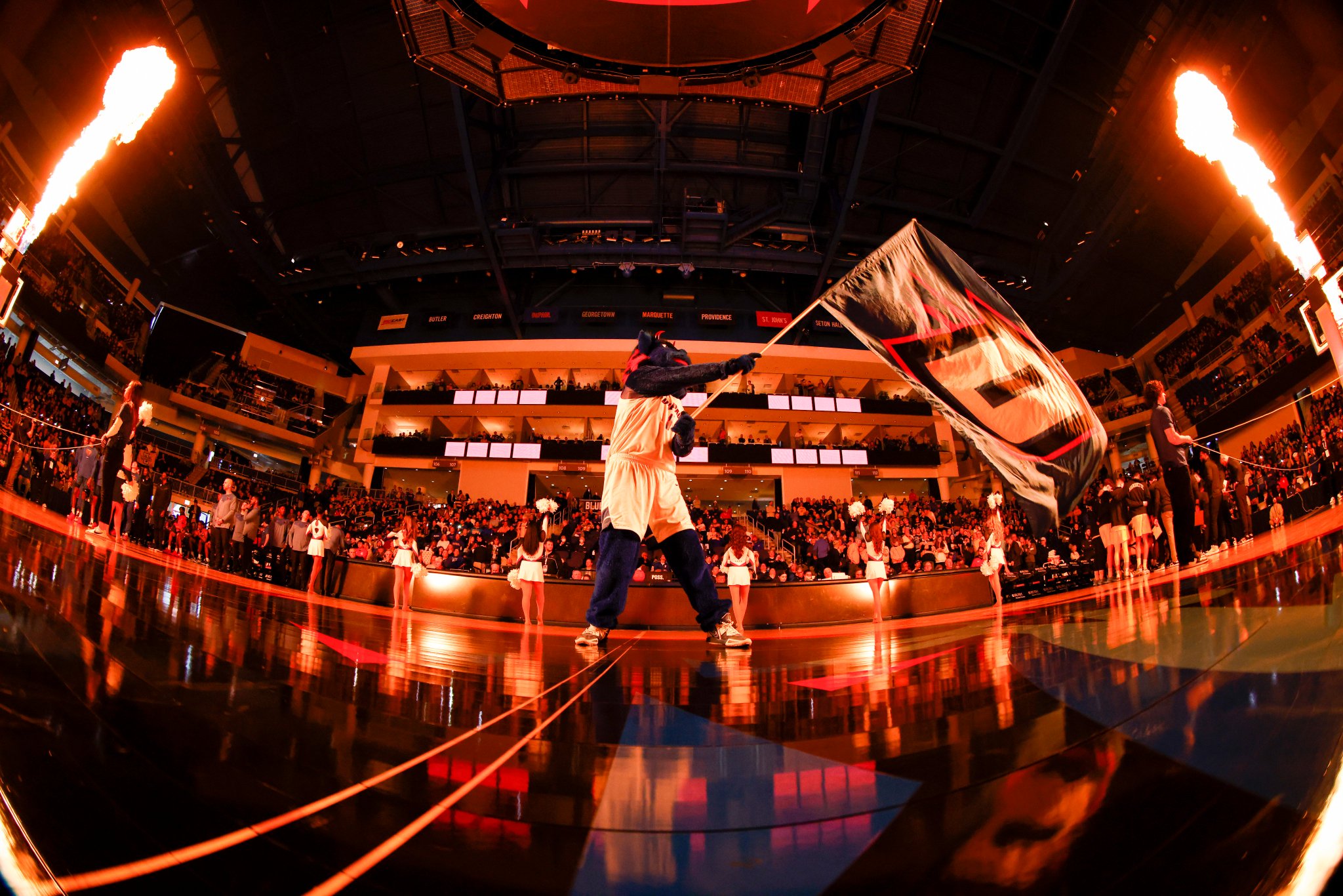 DePaul Athletics on Twitter "DePaul Blue Demon fans! Do you want to