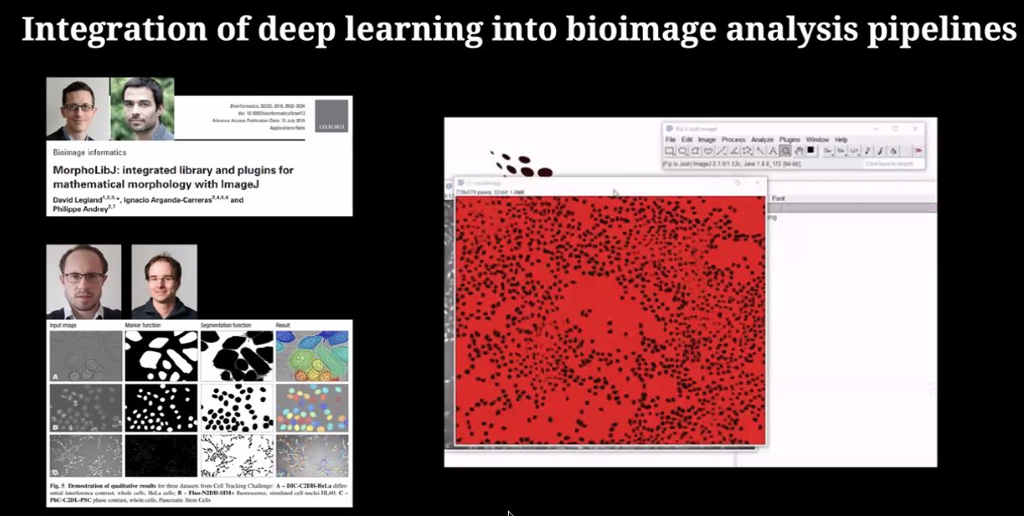 AI4Life Team tweet media