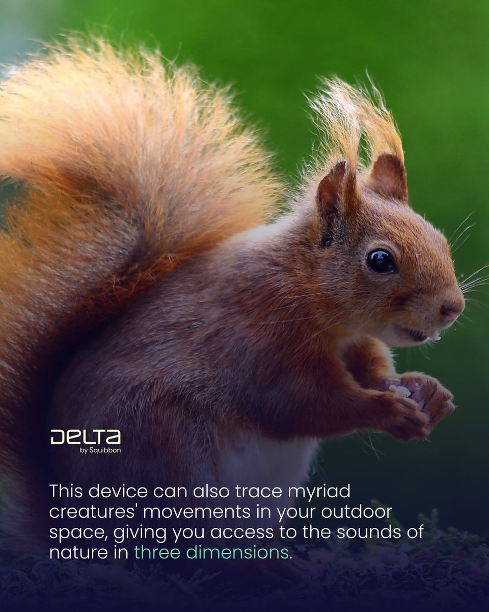 Squibbon_'s tweet photo. Delta helps you connect with nature on a deeper level, allowing you to hear more than your bare ears. It helps you identify the sounds of the animals around you, and know who they are and the direction they're coming from.

#squibbon #deltabysquibbon #squibbondelta https://t.co/E1lF6k1vDh
