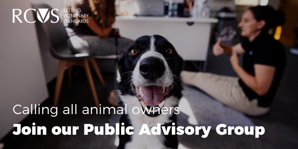 Do you know any clients who are as passionate about animal health and welfare and public health as we are?

We’re looking for members of the public to join our new Public Advisory Group.

Please share with any clients who may be interested 👇

bit.ly/3WleXOM