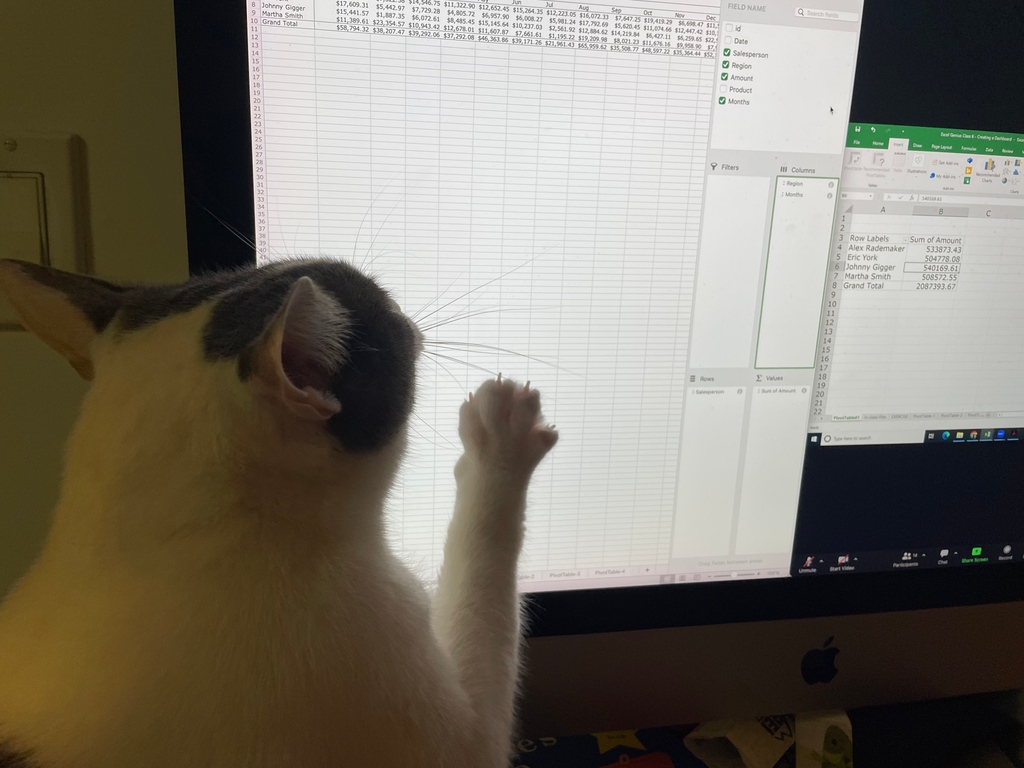 The problem with your pivot table is right here!
.
#jasperthegreat #domesticshorthair #meow #catstagram #cat #cats  #pets #nyccats #kitty #thedailykitten #pawsandpaws #instacat #dailyfluff #petoftheday #bestmeow #catlovers #catstagram #catlife