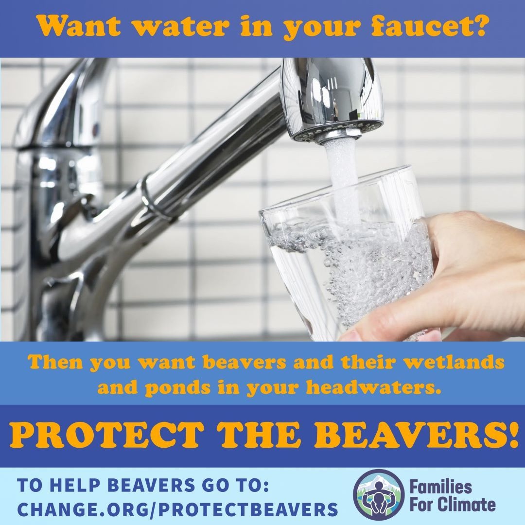 We have beavers to thank for our fresh, healthy water! Help us protect the beavers by signing the Change.org petition at change.org/protectbeavers! Let's get as many signatures as we can by May 31!