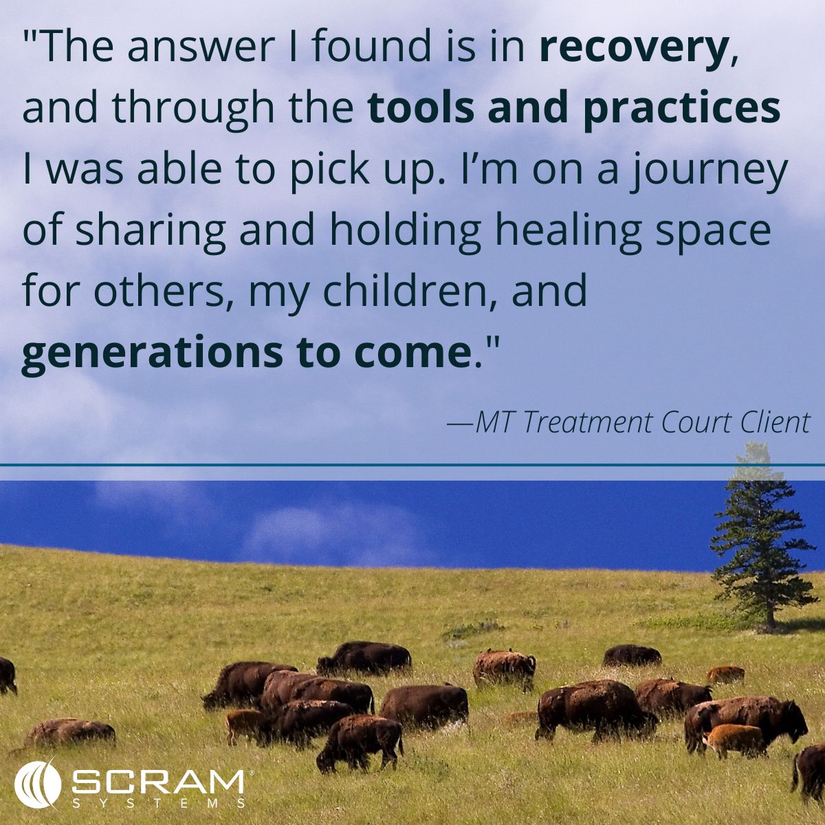 Real stories from real treatment court clients truly demonstrate the positive impact that these specialty courts have on the lives of their clients and communities. #MakingADifference #NationalTreatmentCourtMonth #Recovery