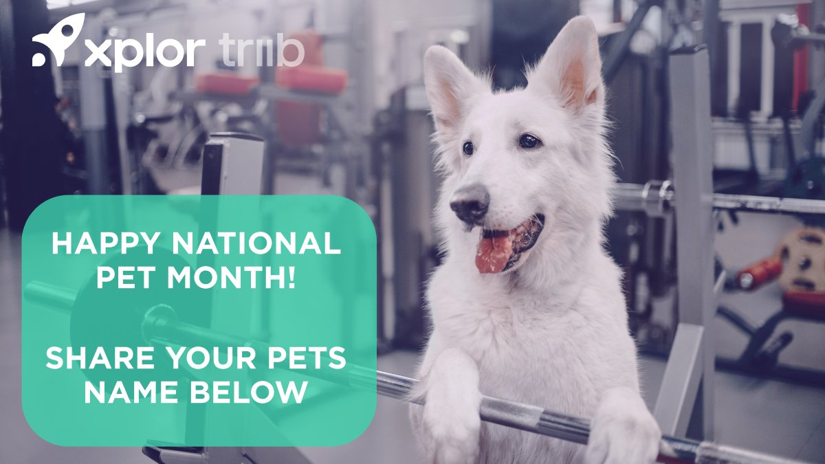 triibinc's tweet photo. Happy #NationalPetMonth 😻! Interrupting your feed to take a moment and give your furry friends some extra love!

If you have a pet, share their name in the comments below👇

#XplorTriib #WeAreXplor #ShareTheLove https://t.co/L4CjYNl79D