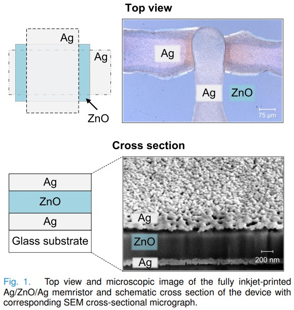 1st author Cluster Young Scientist Hongrong Hu presents a fully inkjet-printed unipolar metal oxide #memristor with excellent performance parameters, based on a sandwich-like Ag/ZnO/Ag structure 🥪👉 doi.org/10.1109/TED.20… Great potential as a future element for data storage!