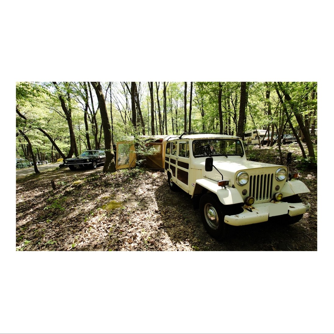 shirojee_ch's tweet photo. 2023.04.22.
ろーそー洗車せねば🤔
#shirojee_ch #mitsubishijeep #lj37 #30系
#outdoordrive #mitsubishijeep
#frontgrill #circleeyes #vvc
#マニュアル車好き #無骨な車
#車好きな人とつながりたい
#三菱ジープ #三菱jeep #vvc https://t.co/h7nbKMwZU4
